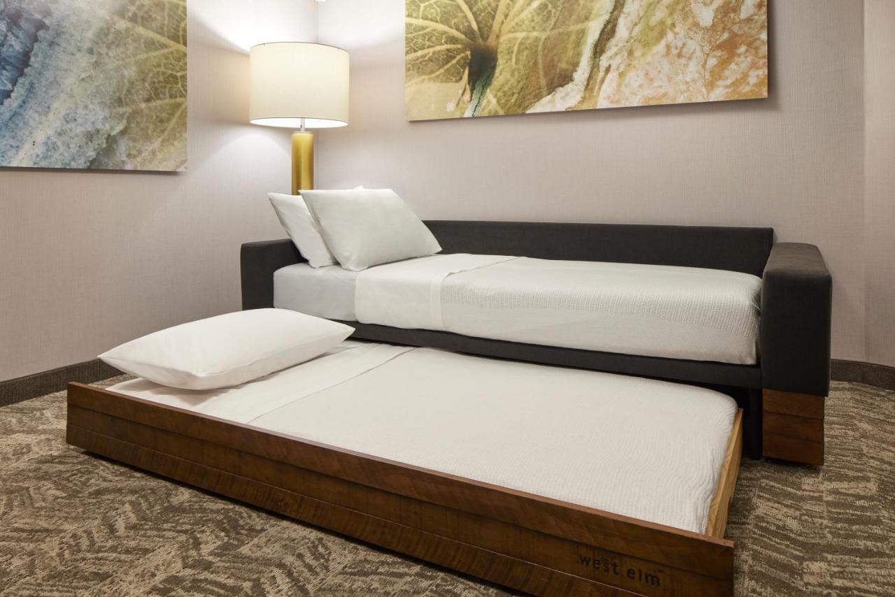 Springhill Suites By Marriott Frederica Exterior foto